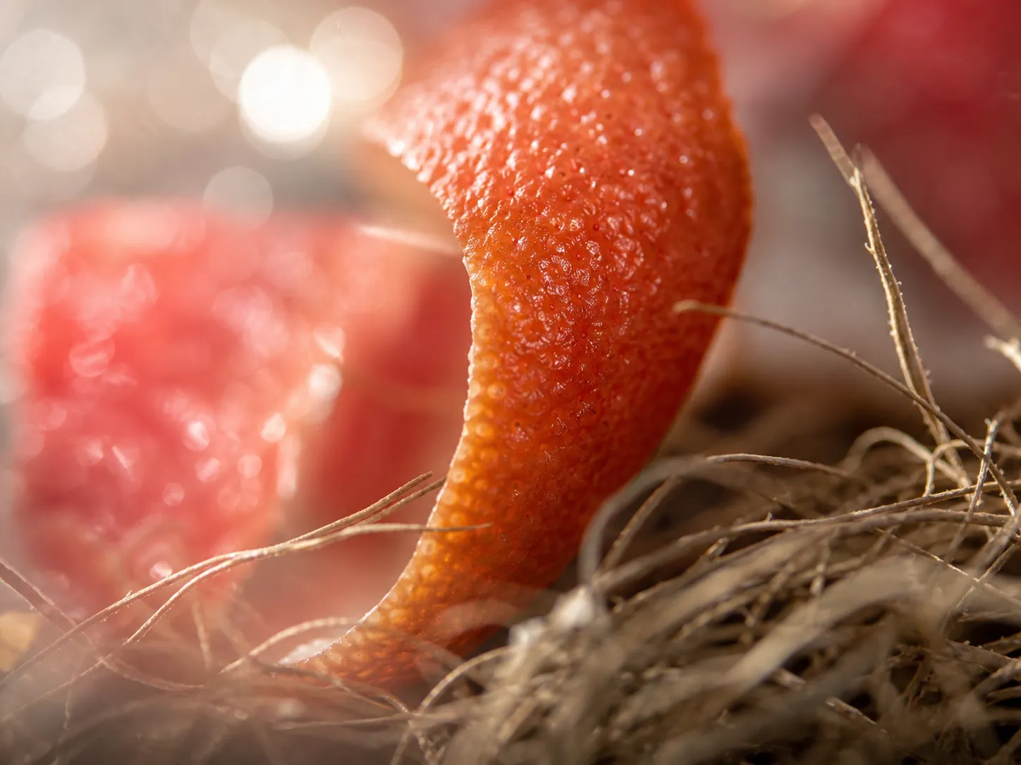 Macro view of grapefruit peel curling over dried vetiver root